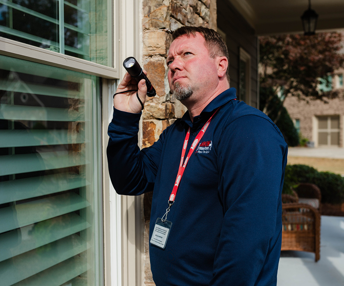 Eco-Friendly Pest Management